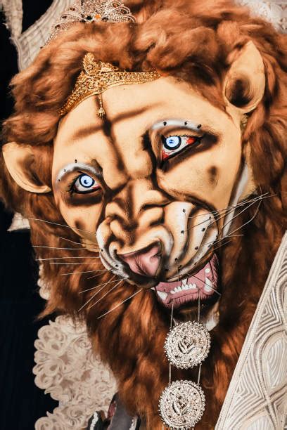 Scary Lion Roar Stock Photos, Pictures & Royalty-Free Images - iStock