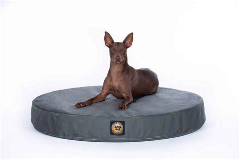 Chew Proof Ballistic Orthopedic Dog Bed | Gorilla Dog Beds®