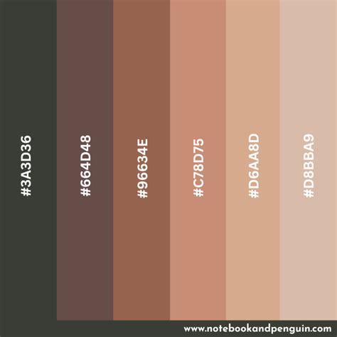9 Beautiful Skin Tone Color Palettes [Hex Codes Included]
