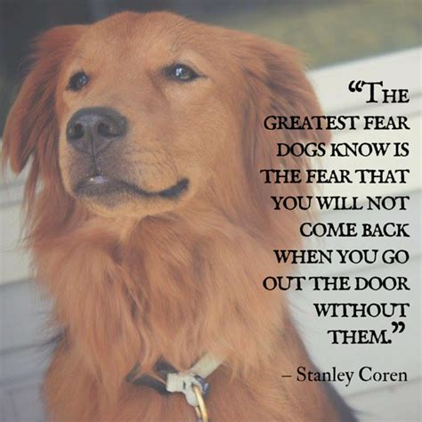 What Dogs Are Thinking Quotes