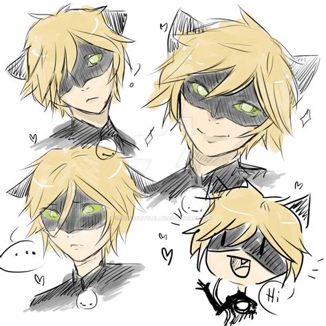 Cat Noir sketches by AllensLittleLavi on DeviantArt