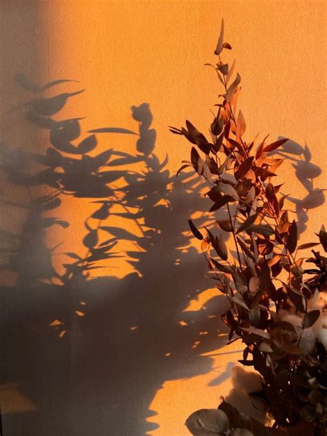 Shadows and Sunlight - HubPages