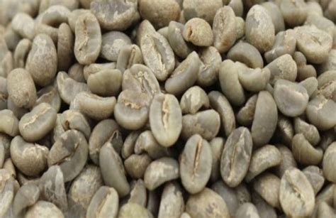 Unroasted green coffee beans Wholesale Exporter | DHK International