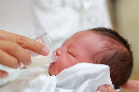 Cup Feeding | How do you cup feed a baby | Newborn Care