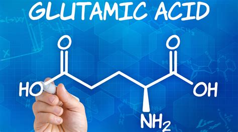 6 Benefits of Glutamic Acid