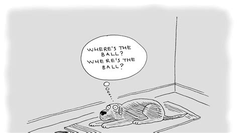 New Yorker Cartoons June 27, 2016 | The New Yorker