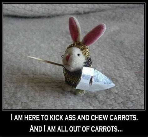 Right. Alllll outta carrots. | Funny bunnies, Bones funny, Funny