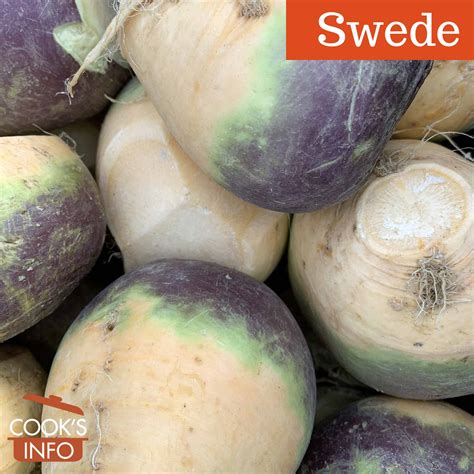 Swede - CooksInfo