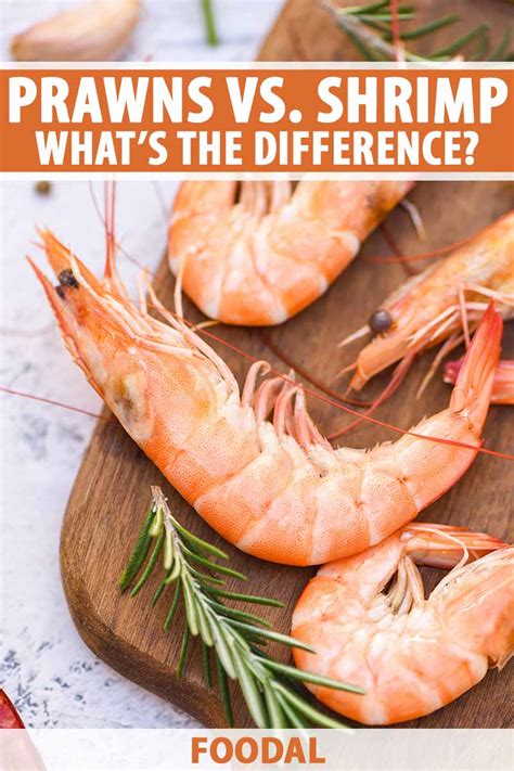 What’s the Difference Between Prawns and Shrimp? | Foodal