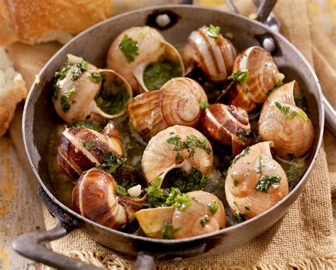 Escargot | Description, Snail Types, Dangers, & Serving and Cooking Methods | Britannica