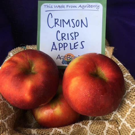 Crimson Crisp Apples | Agriberry Farm - CSA - Virginia - Maryland