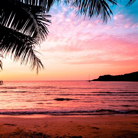 Beautiful sunset tropical beach with palm tree and pink sky for travel and vacation in holiday ...