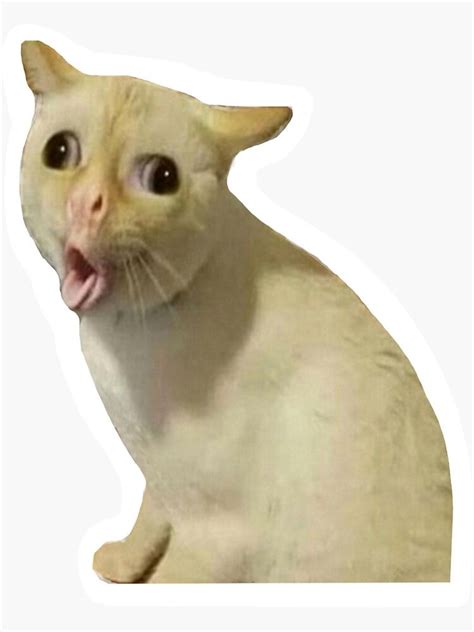 "coughing cat meme sticker" Sticker by SplendidArt | Redbubble | Cat memes, Meme stickers, Cats