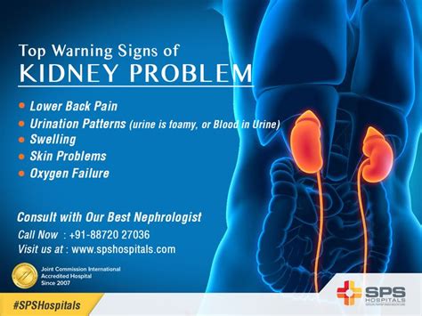 13 best Best Hospitals for Kidney Transplant in India images on Pinterest | Hospitals, Kidney ...