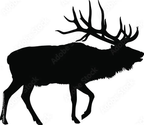 A vector silhouette of a large bull elk bugling. Stock Vector | Adobe Stock