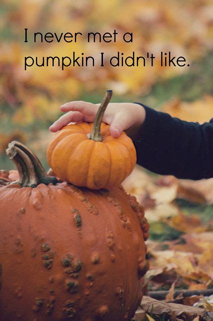 20+ Fall Sayings For Pumpkins