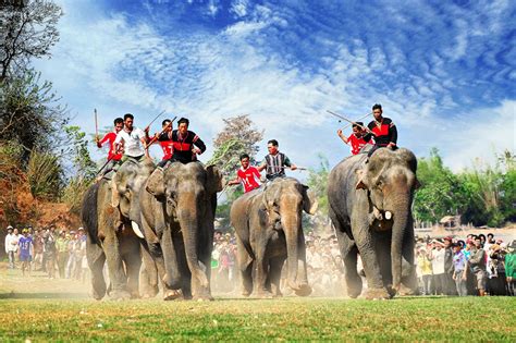 Elephant Racing Festival 2023 in Vietnam - Rove.me