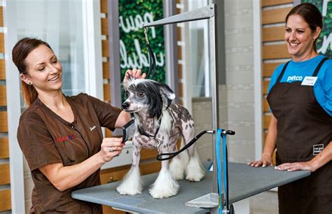 Pet Stylist | Pet grooming, Petco, Pet groomers