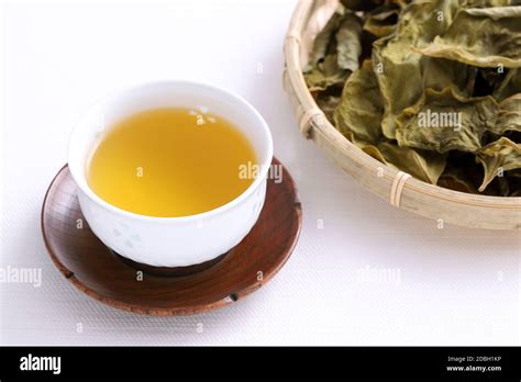 tea of persimmon leaves, herbal medicine on white background Stock ...