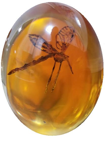 Jurassic Park "Amber with Mosquito" Shooter – ModFather Pinball Mods