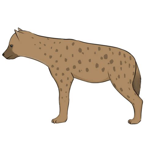 How to Draw a Hyena - Easy Drawing Art