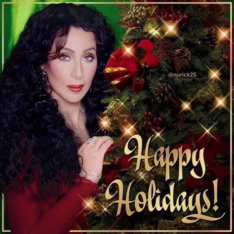 Pin by Mark Collins on Cher A American Entertainer | Christmas ornaments, Happy holidays ...