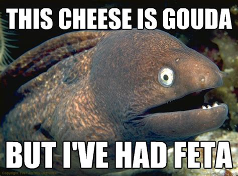 This cheese is gouda But I've had feta - Bad Joke Eel - quickmeme