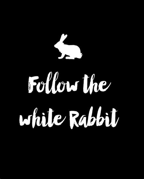 “Follow the white Rabbit” | Follow the white rabbit, Alice in wonderland aesthetic, White rabbit ...