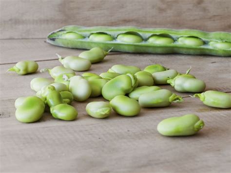 Growing Butter Beans In Your Garden | Beans nutrition, Butter beans, Beans