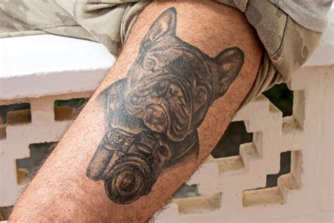 Dog Portrait Tattoo: A Necessity? | Pestclue