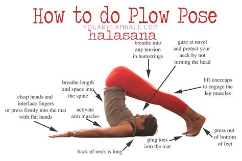 How to do Plow Pose — YOGABYCANDACE