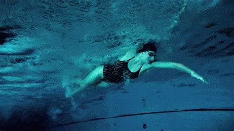 Swimming GIF - Find & Share on GIPHY