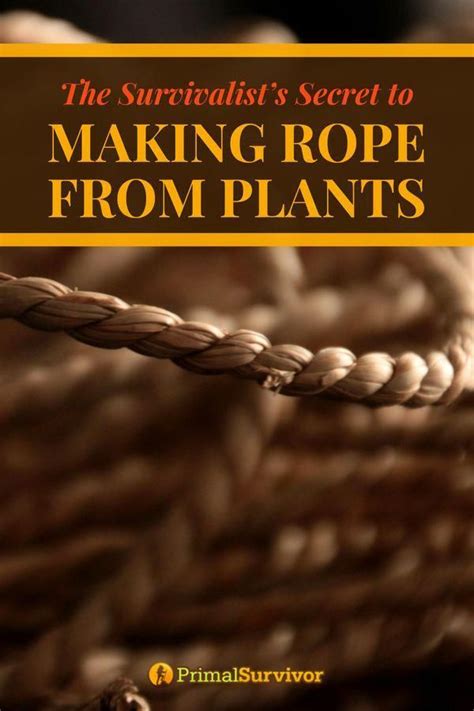 The Survivalist's Secret to Making Rope from Plants | How to make rope, Survival skills ...