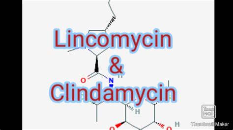 Lincomycin & Clindamycin -LINCOSAMIDES - YouTube