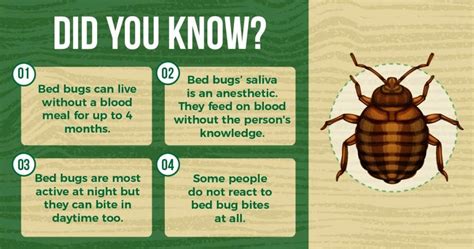 The Ultimate Guide to Bed Bugs Prevention in Singapore