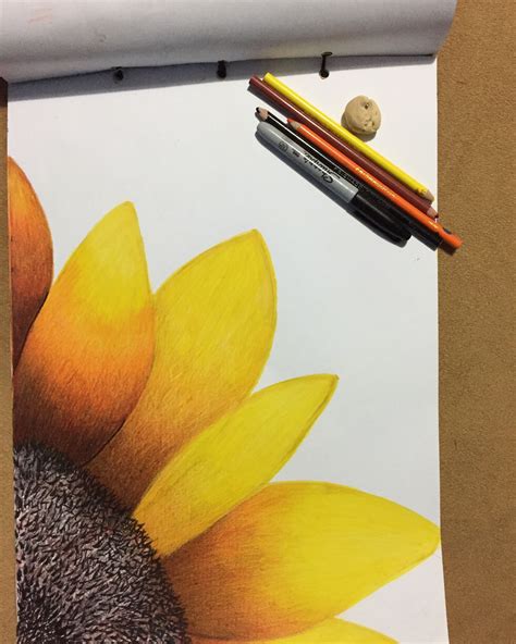 #girasol #dibujo | Girasoles dibujo, Dibujos de arte simples, Arte de ...