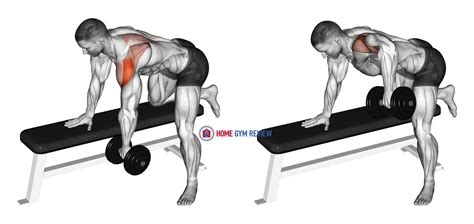 Dumbbell Rear Delt Row_shoulder - Home Gym Review