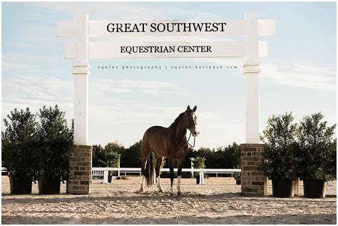 Great Southwest Equestrian Center Horse & Rider Portraits | Bridgette ...