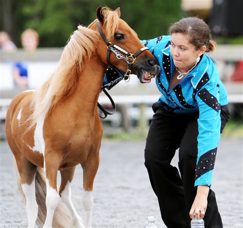 Miniature Horse Show