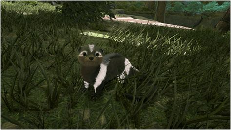 Ark Otter Guide (Abilities, Taming, Food, Saddle, Breeding, Drops & Location) - ProGameTalk