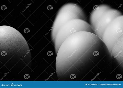 Black And White Chicken Eggs Stock Image - Image of black, healthy: 107841645