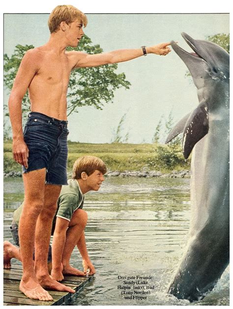 Luke Halpin as 'Sandy' & Tony Norden as 'Bud' in Flipper (1964-67, NBC) — Flipper was first ...