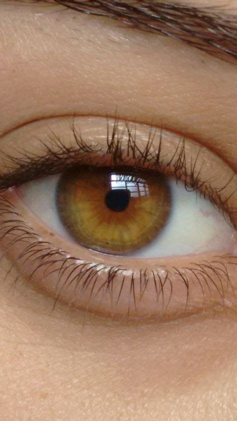 9 Honey eyes color ideas in 2020 | honey eyes, honey eyes color, eye color