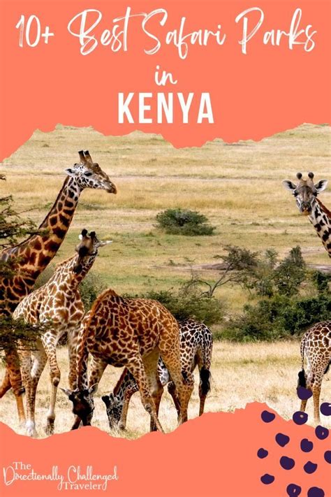 10 best safari parks in kenya – Artofit