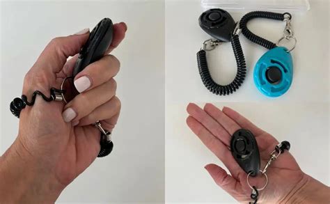 Clicker Training For Dogs: 3 Best Clickers & How It Works