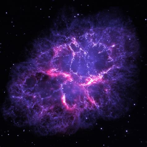 Prince Nebula GIF - Find & Share on GIPHY