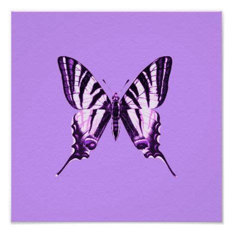 Purple Butterfly Poster | Zazzle.com | Butterfly poster, Purple ...