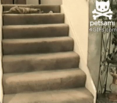 Fall Down Stairs Gif