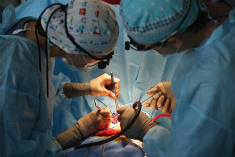 Baby Born With Half A Heart Undergoes Transplant Surgery - Newsweek