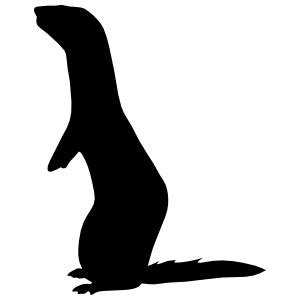 Ferret Silhouette Car Decals & Stickers | Car Stickers